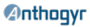 Anthogyr