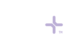 DBR pluss300x804