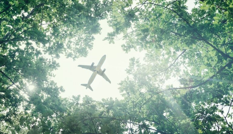 Airplane flying over the woods