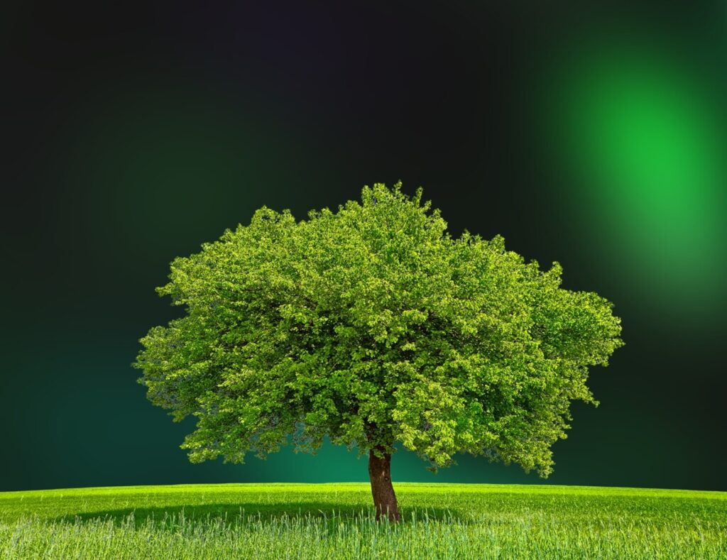 green, leafy tree on green field of grass, representing demand driven kpis