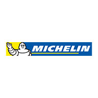 Demand Driven Technologies DDMRP Software Client Michelin