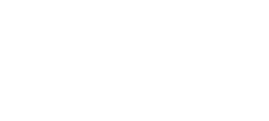 Netsuite logo